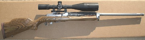 New Conversion Rifle Mini 14 Ranch